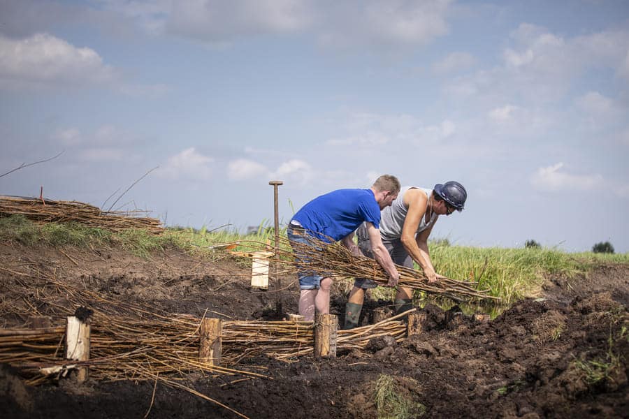 Oeverbescherming en beschoeiing