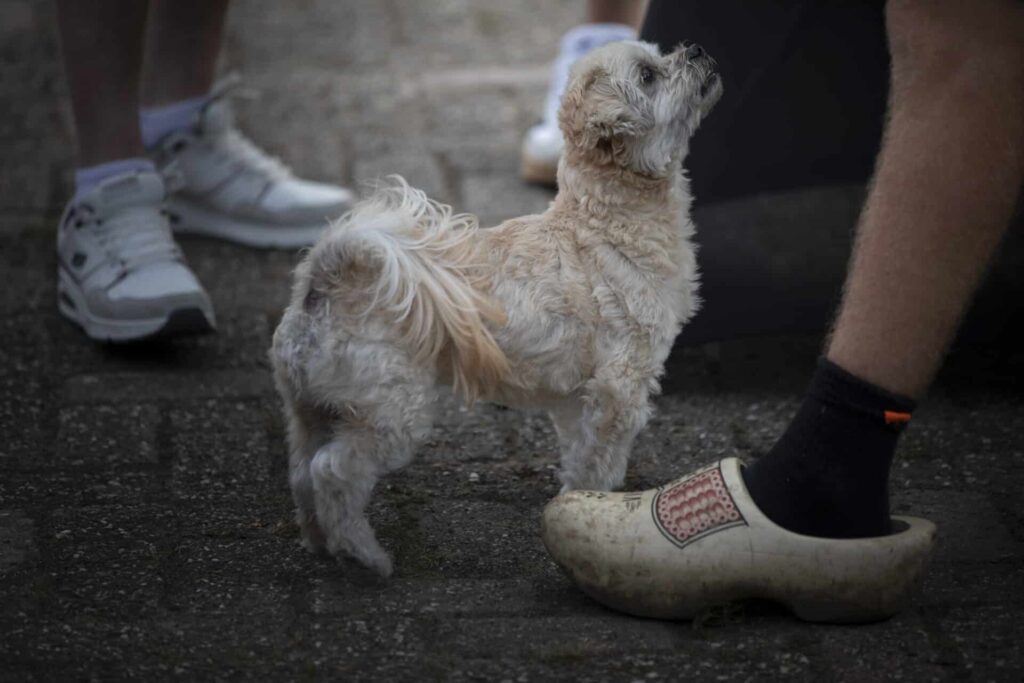 Medewerkers De Vries Stolwijk