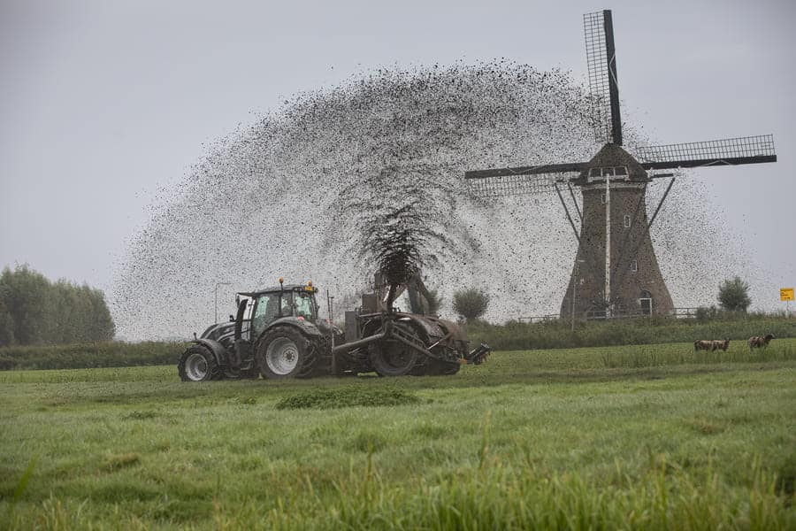Baggerwerkzaamheden en onderhoud van watergangen